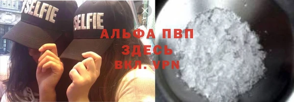 ПСИЛОЦИБИНОВЫЕ ГРИБЫ Вязьма
