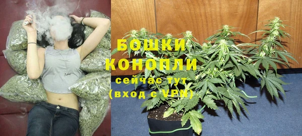 ПСИЛОЦИБИНОВЫЕ ГРИБЫ Вязьма