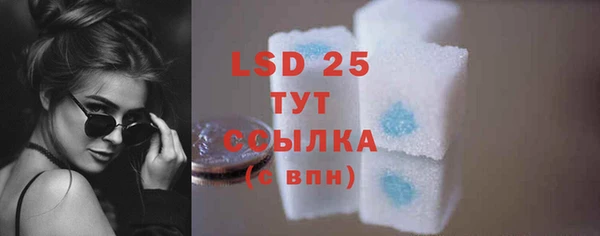 ПСИЛОЦИБИНОВЫЕ ГРИБЫ Вязьма
