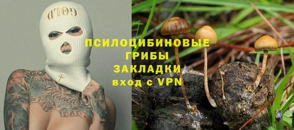 ALPHA PVP Вяземский