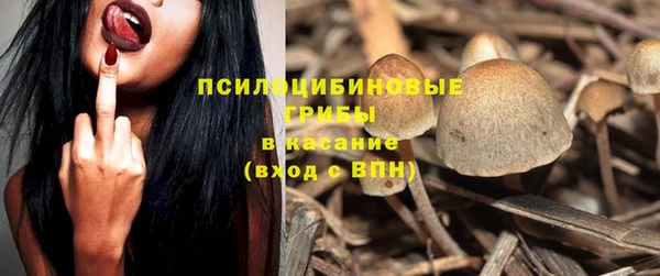 ALPHA PVP Вяземский
